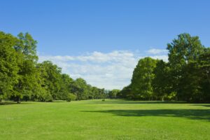 人生において健康が一番大事な10個の理由